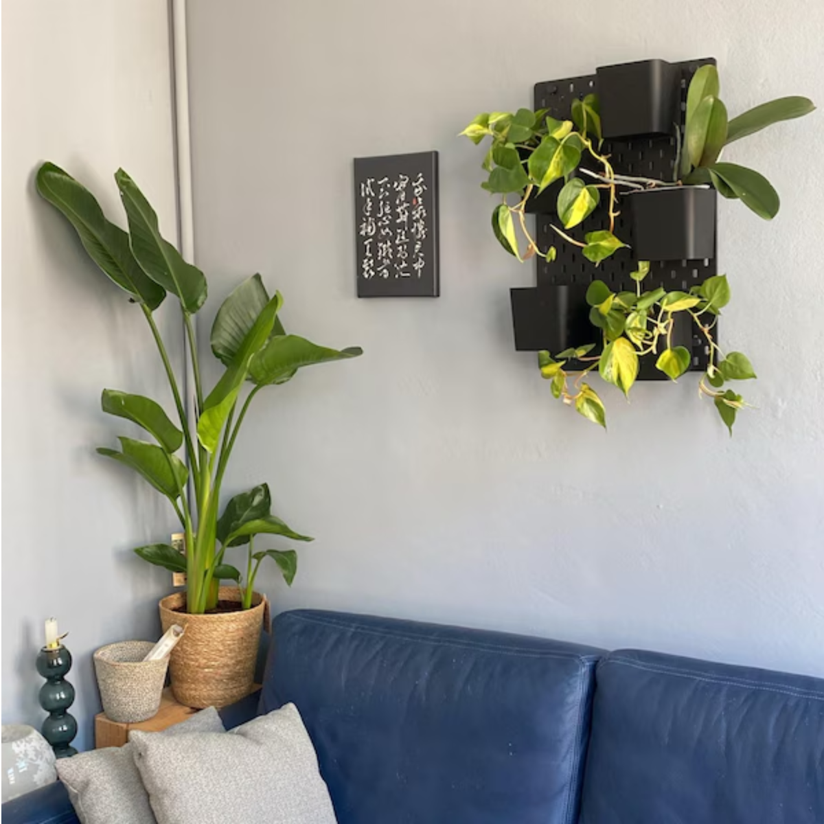 Teilweise bepflanzte Pflanzenwand mit 5 Töpfen im Wohnzimmer über einer Couch, als Beispiel für die Verwendung der Töpfe.