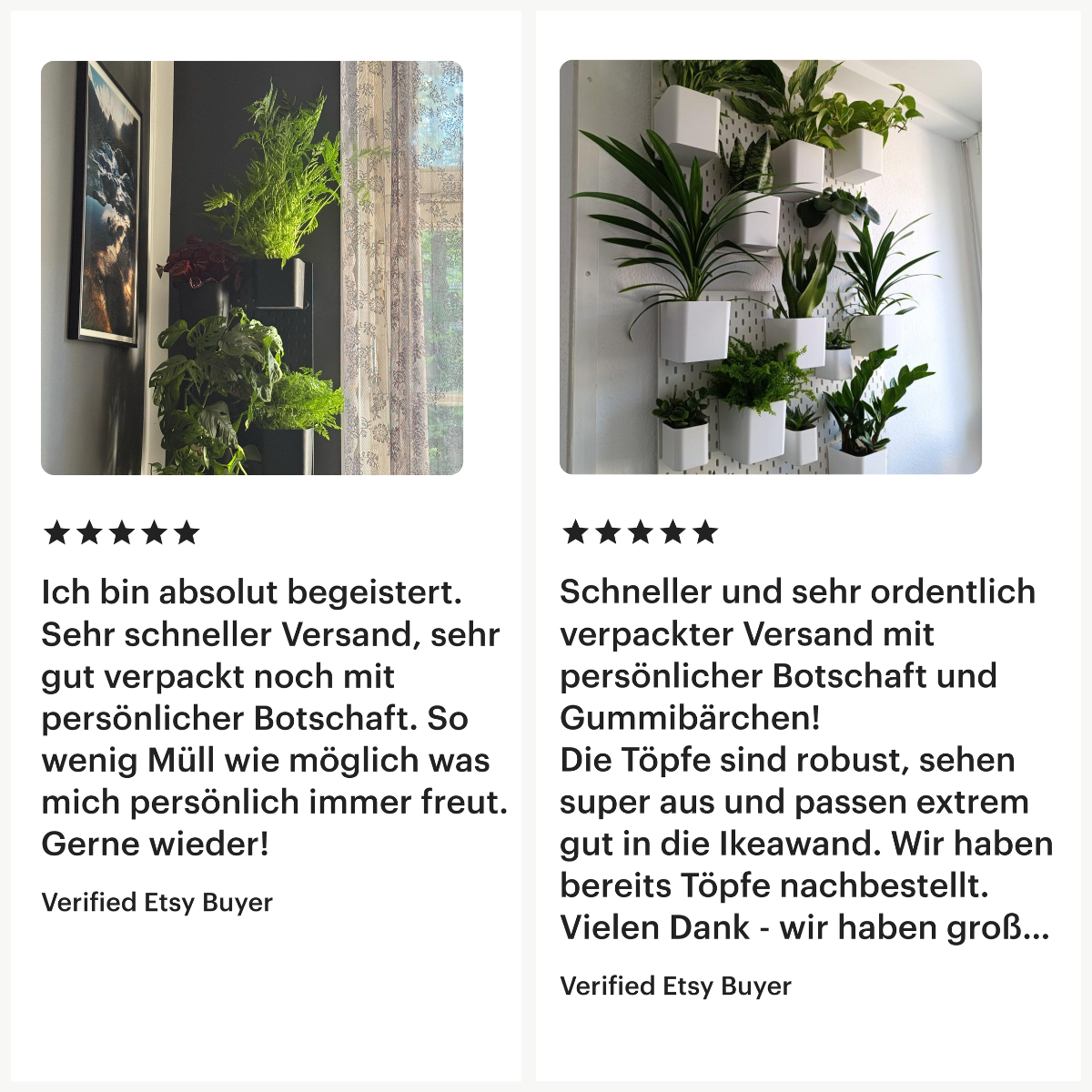 Nutzerbewertung der Pflanzentöpfe für die Pflanzenwand sind durchgehend mit 5 von 5 Sternen erfolgt